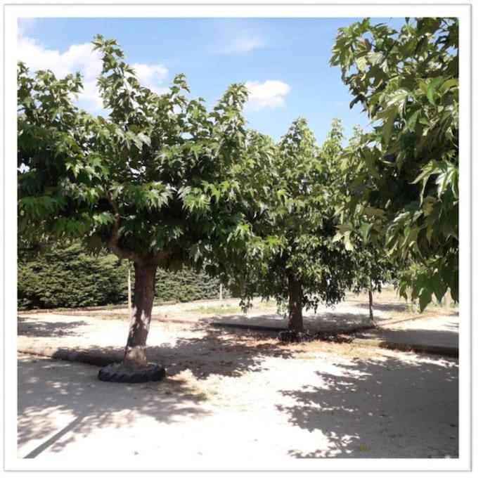 Charming Small House Close To Uzes Foissac  Ngoại thất bức ảnh