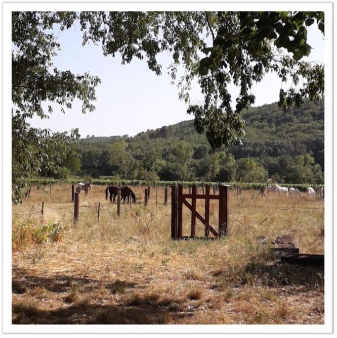 Charming Small House Close To Uzes Foissac  Ngoại thất bức ảnh